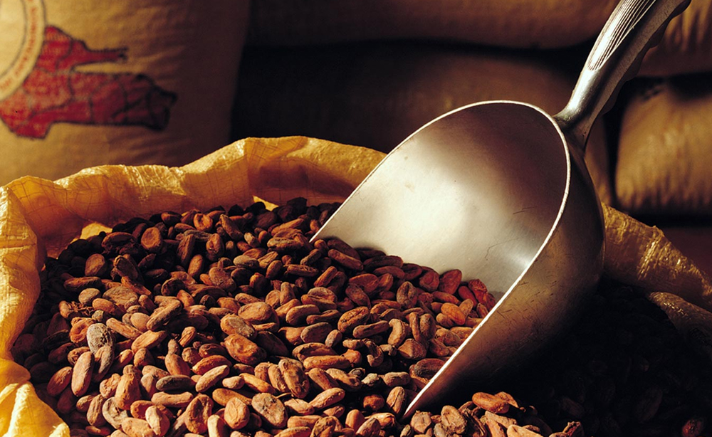 ICAM cioccolato | Sladka hiša